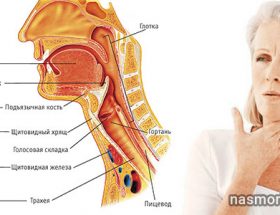 Болить горло в області трахеї: провокуючі фактори, методи обстеження та лікування, заходи профілактики