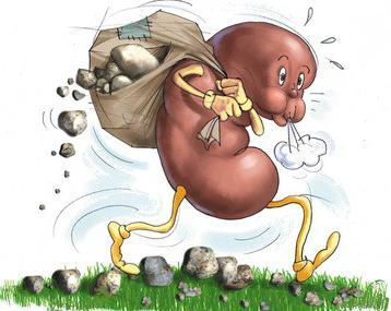 Дієта при сечокам'яній хворобі нирок: харчування при каменях у нирках, заборонені продукти