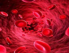 Норма тромбоцитів в крові, їх кількість у чоловіків і жінок