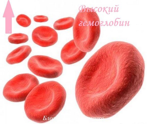 Які продукти знижують гемоглобін в крові: причини підвищення гемоглобіну і принципи дієтичного харчування для зниження рівня гемоглобіну.  