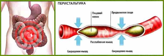 Препарати, що поліпшують перистальтику кишечника