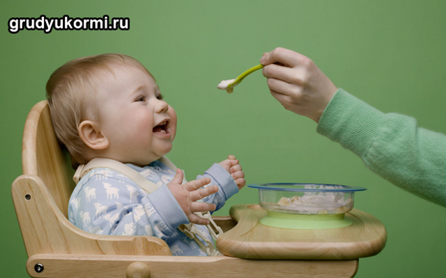 Овочевий прикорм дитині: коли і які овочі вводити в прикорм