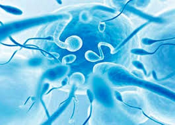 Лейкоцітоспермія у чоловіків: що це таке, причини, лікування, ймовірність вагітності