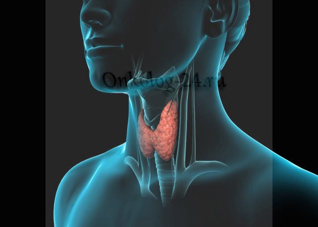 Лімфома щитовидної залози: симптоми, прогноз і лікування лімфоми щитовидки