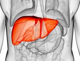 Біліарний цироз печінки: провокуючі фактори, клінічні ознаки, принципи лікування та прогноз