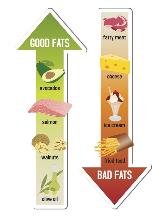 Користь жирів для організму: корисні жирні продукти і їх вплив на організм