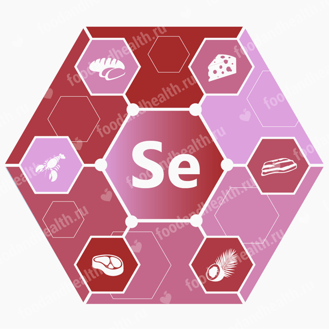 Основні функції селену в організмі людини, селен в продуктах харчування