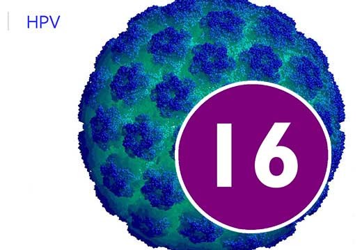 Може вірус папіломи 16 типу викликати герпес?