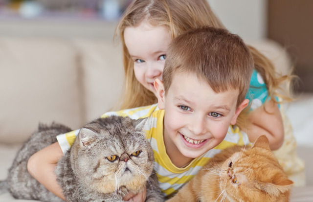 Алергія на домашніх тварин: симптоми у дорослих, дітей і немовлят, лікування