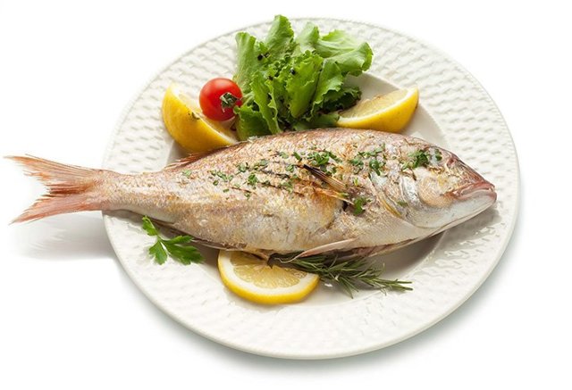 З якої риби починати прикорм, як приготувати рибу для прикорму, як вводити рибу