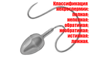 Некроспермія: чи можна вилікувати, чи можна завагітніти