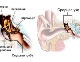 Травми вуха: симптоми і лікування забитих місць і пошкоджень