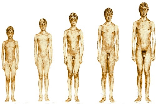 Статеве дозрівання у хлопчиків: вік, ознаки раннього і пізнього статевого дозрівання