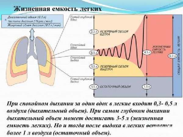 Патологічні типи дихання і їх причини