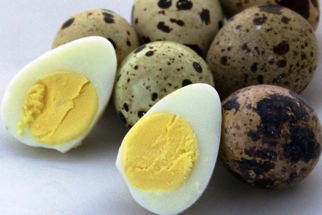 Перепелині яйця: калорійність, користь і шкода для здоров'я, як вживати при схудненні