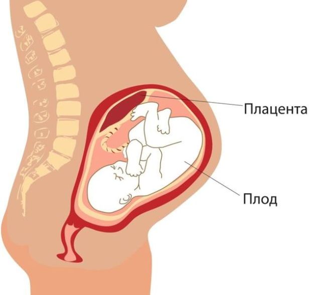 36 тиждень вагітності: що відбувається з малюком і мамою, коли опускається живіт