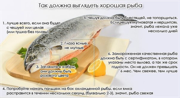 Харчове отруєння рибою: симптоми і лікування, перша допомога та профілактика