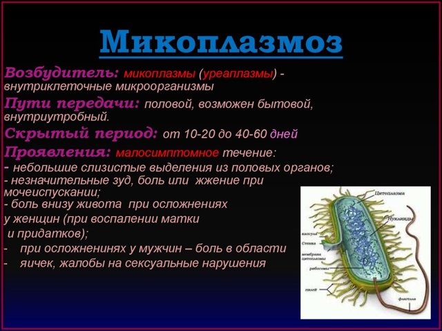 Мікоплазма геніталіум у чоловіків: симптоми і лікування mycoplasma genitalium