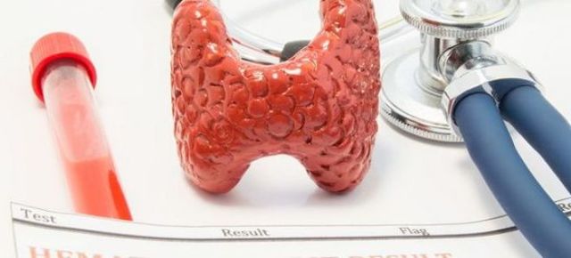 Обстеження щитовидної залози: діагностика щитовидки, рекомендовані аналізи та обстеження