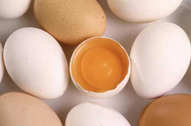 Склад курячого яйця, харчова цінність, шкідливі властивості курячих яєць, маркування і вибір курячих яєць, корисні властивості.