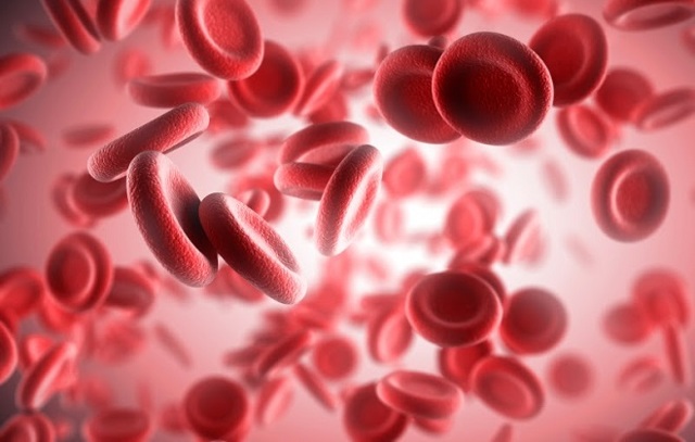 Гемолітична анемія з аналізу крові: що це таке, симптоми, лікування