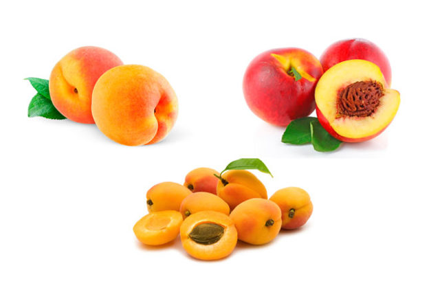 Які фрукти можна і потрібно включати в раціон при грудному вигодовуванні малюка?